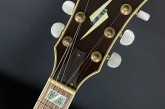 Ibanez PM-35 Pet Metheny-7.jpg